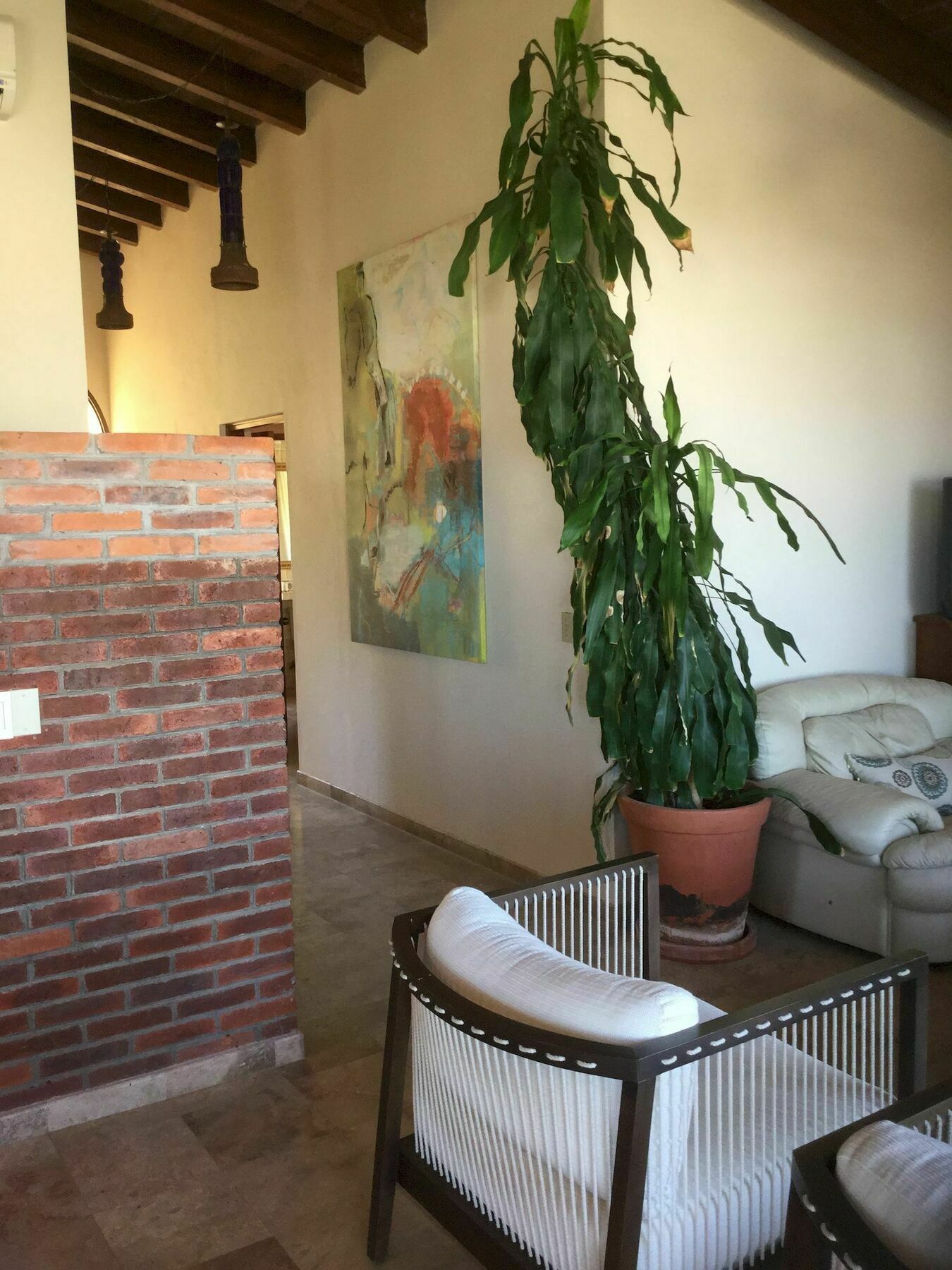 Sunrise Cove Luxury Penthouse Daire Cabo San Lucas Dış mekan fotoğraf